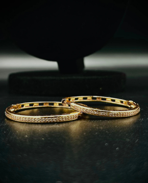 Radiant Grace – Minimal Gold-Tone Earrings